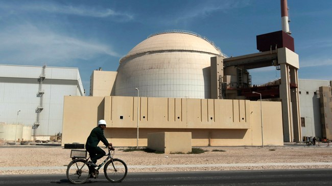 The head of the Atomic Energy Organization of Iran (AEOI) Ali Akbar Salehi said Saturday that the Bushehr nuclear power plant, which was shut down temporarily last week, will enter the circuit in the following days, official IRNA news agency reported.