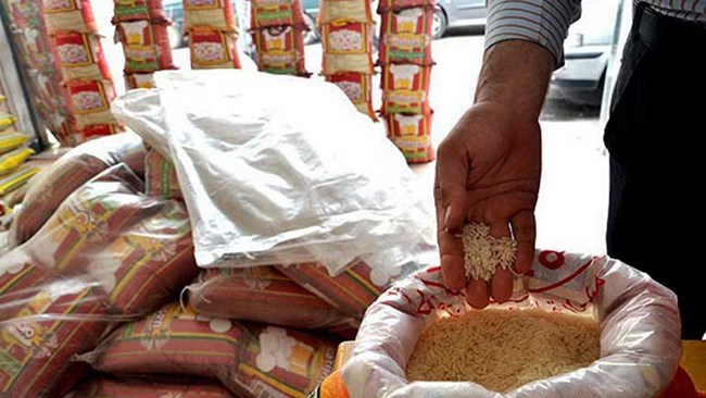 Around 1.3 million tons of rice were imported into Iran during the first eight months of the current Iranian year (March 21-Nov. 21), according to the head of Rice Importers Association.