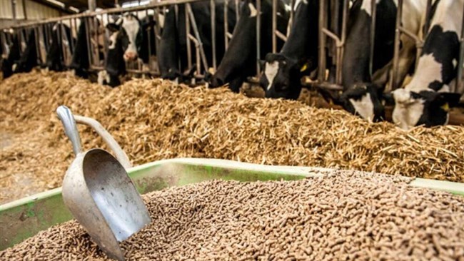 Iran has replaced Ukraine with Brazil for the country’s mostly needed imports of animal feed, according to an official familiar with the matter.