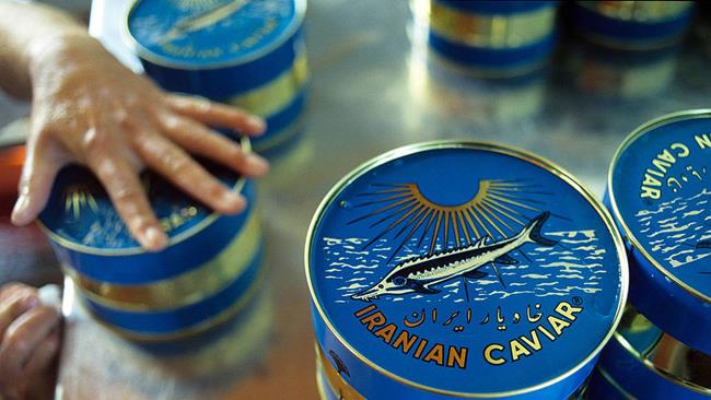 Aquaculture deputy of Iran’s Fisheries Organization has said sturgeon production has surged in recent years, reviving hopes of a better place for Iran among caviar producers worldwide.