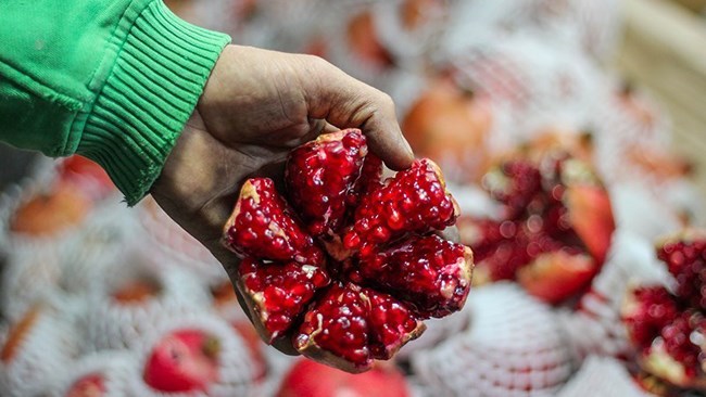 Iran’s export of agri-food products in the seven-month period ending on October 22, 2019 reached a total of 2.794 billion, says a government official.