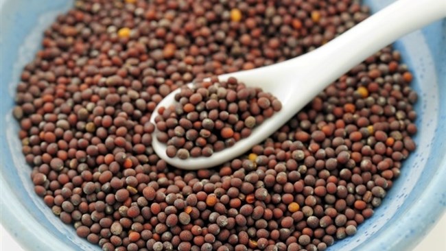 The firm says its has been selling vegetable and grain seeds to Iran after the reimposed US sanctions triggered banking channels. The company is now eyeing the new European financial mechanism to continue sales to the Middle Eastern nation.