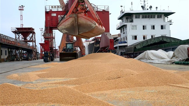 Iran imported a total of 10.28 million tons of raw materials for the production of animal feed worth $3.78 billion during the current fiscal year’s first eight months (March 21-Nov. 21), registering a 20% and 41% rise in weight and value respectively compared with the similar period of last year.