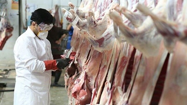 A total of 52,800 tons of red meat were produced in Iran’s official slaughterhouses during the month ending Nov. 21 to register a 47% rise compared with the similar month of last year and a 5% month-on-month increase.