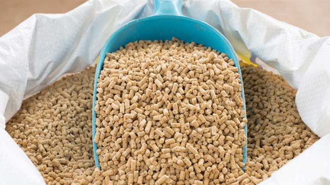Soymeal prices in the domestic market have soared by 200% compared to last year, says the head of Food Wholesalers Association, noting that soybean imports are entitled to subsidized foreign currency (at the rate of 42,000 rials per dollar).
