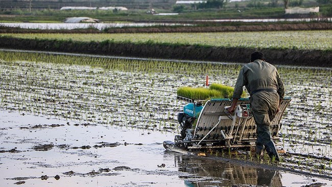 Iran’s agriculture ministry (MAJ) has unveiled a farming roadmap that it says would lead to a major increase in agriculture output in the country while introducing reform measures that will make farming in Iran more sustainable.