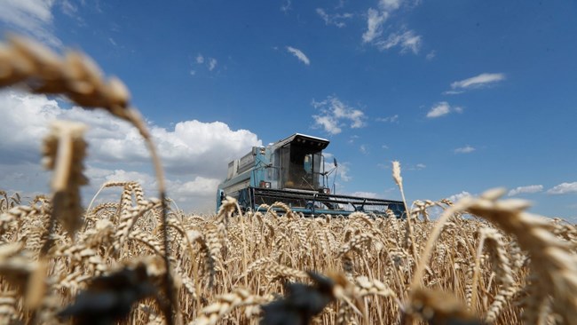The war in Ukraine has troubled Iran’s overseas farming in the east European country, according to the Chairman of Iran’s National Union for Agricultural Products.