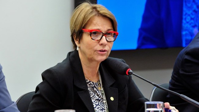 An upcoming visit to Iran by  Minister of Agriculture, Livestock and Food Supply of Brazil Teresa Cristina da Costa Diaz is in line with the resolve of Brasilia government to further promote relations with Tehran, according to the Chairman of Iran-Brazil Joint Chamber of Commerce.