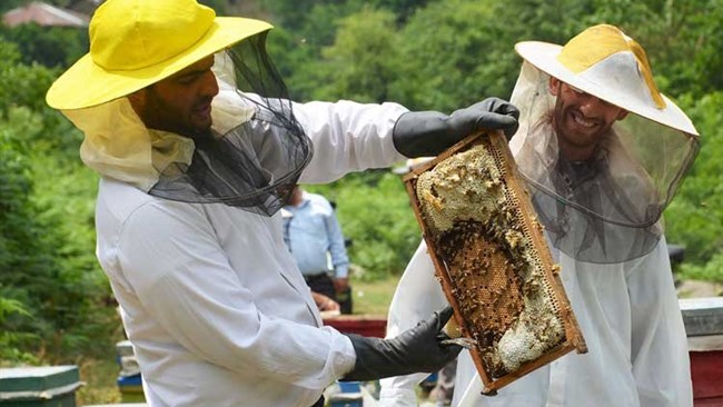 A total of 1,330 tons of honey worth $2.5 million were exported from Iran to 22 countries during the first 10 months of the current Iranian year (March 21, 2022-Jan. 20), according to the head of the Agriculture and Food Industries Commission of Iran Chamber of Cooperatives, Arsalan Qasemi.