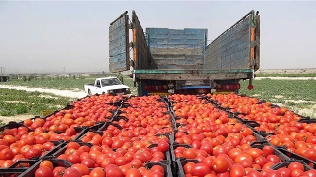 The value of Iran’s agricultural exports rose by 28% in the first seven months of the current calendar year (March 20 – October 21), reaching $2.2 billion, according to the Islamic Republic of Iran Customs Administration.