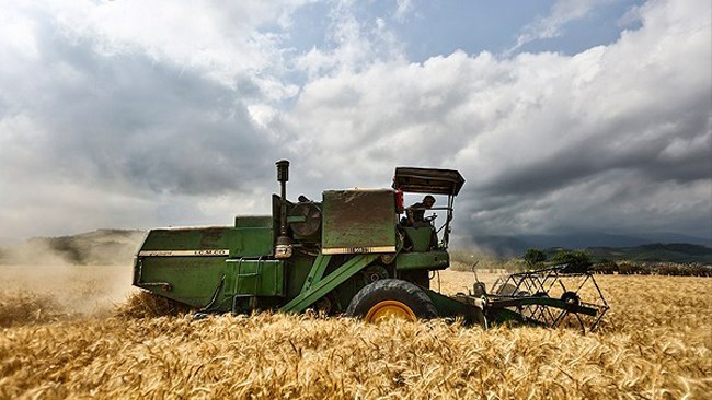 The Iranian government has paid off its debts to domestic farmers for this year’s wheat purchases amid a bumper crop that has made the country self-sufficient in the grain.