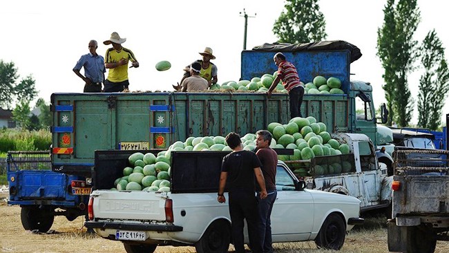 Iran exported $4.9 billion worth of agricultural and food products in the first eight months of the Iranian calendar year (March 20 – November 21), with Iraq emerging as the top destination for these exports, according to a report by Tehran Chamber of Commerce’s Economic Studies Department.