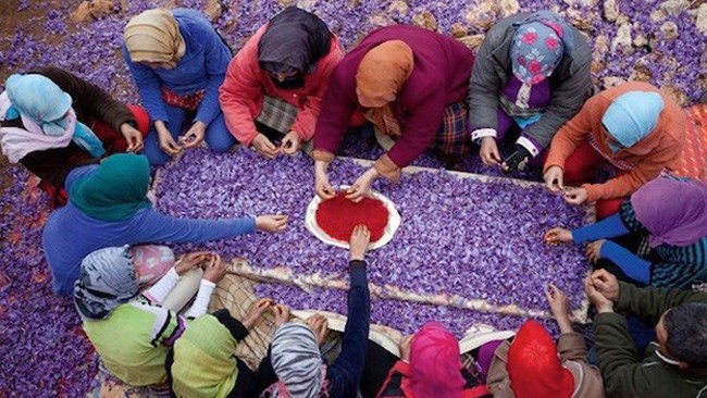 Iran has exported over €36.5 million worth of saffron to Spain in 2023 which shows an 11.4% decline compared to figures from the preceding year, according to a report.