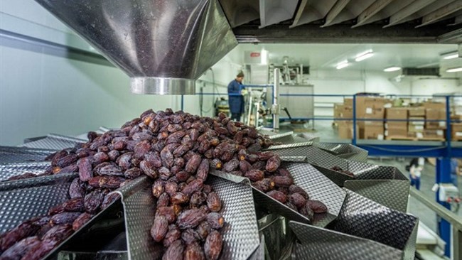 Iran exported high-quality dates to 82 countries in the previous Iranian calendar year (ended March 19, 2024), according to the spokesman of the trade promotion and international relations commission of Iran’s House of Industry, Mine and Trade.