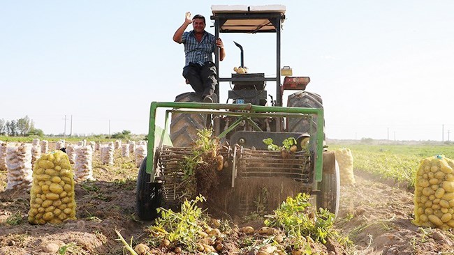 Iran has more than 4.2 million people engaged in farming, with the majority of them over the age of 50 and cultivating small plots of land, the country’s Statistics Center said in its latest agricultural census.