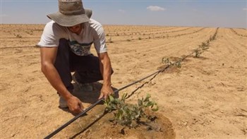 Iran Chamber of Commerce has urged the implementation of a 10-year water austerity plan to better manage the country’s water resources.